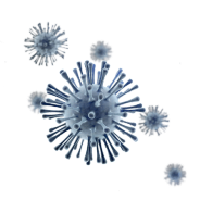 LP_Icon_virus_184.png