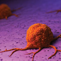 MISC-cancer-cell-6738.jpg